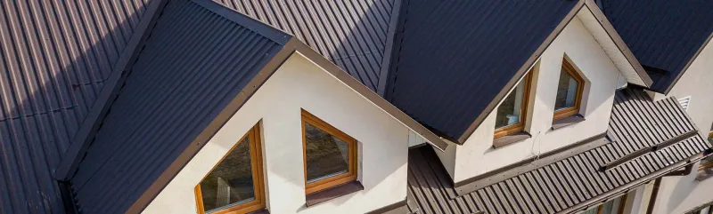 Roofs and Gutters